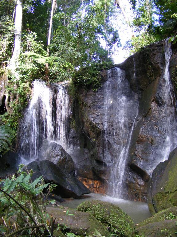Lake Eacham Tourist Park & Cabins Экстерьер фото