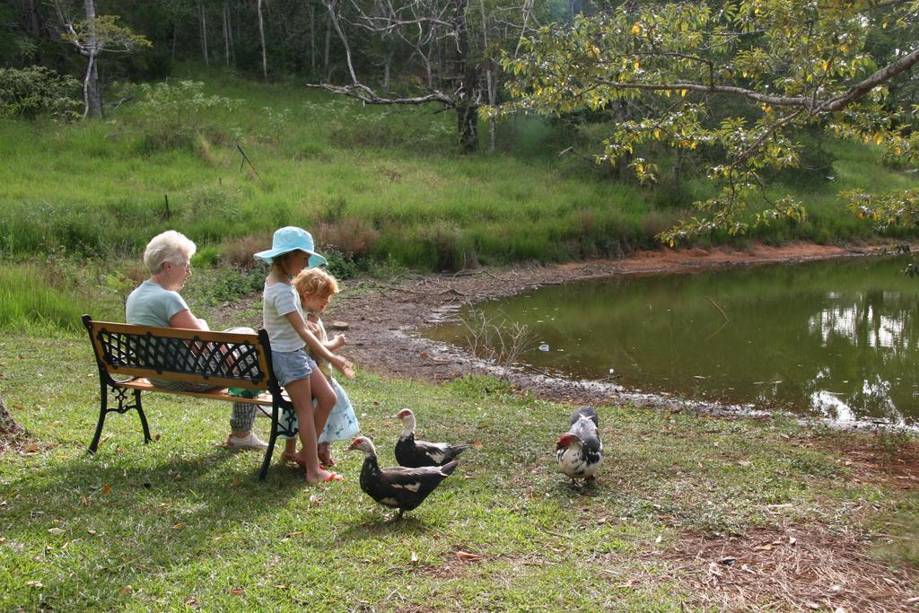 Lake Eacham Tourist Park & Cabins Экстерьер фото